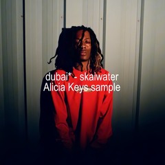 skaiwater - dubai*