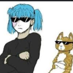 HARDY-TRUCKBED-COVER