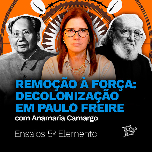 Remoção À FORÇA | Decolonização em Paulo Freire (com Anamaria Camargo)