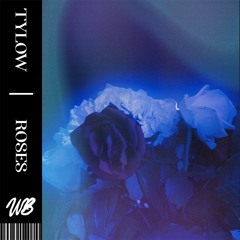 Roses - Tylow