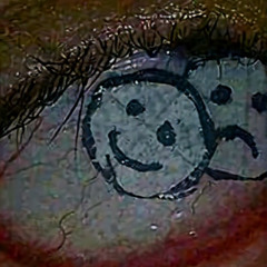 Survival Lifetime Challenge