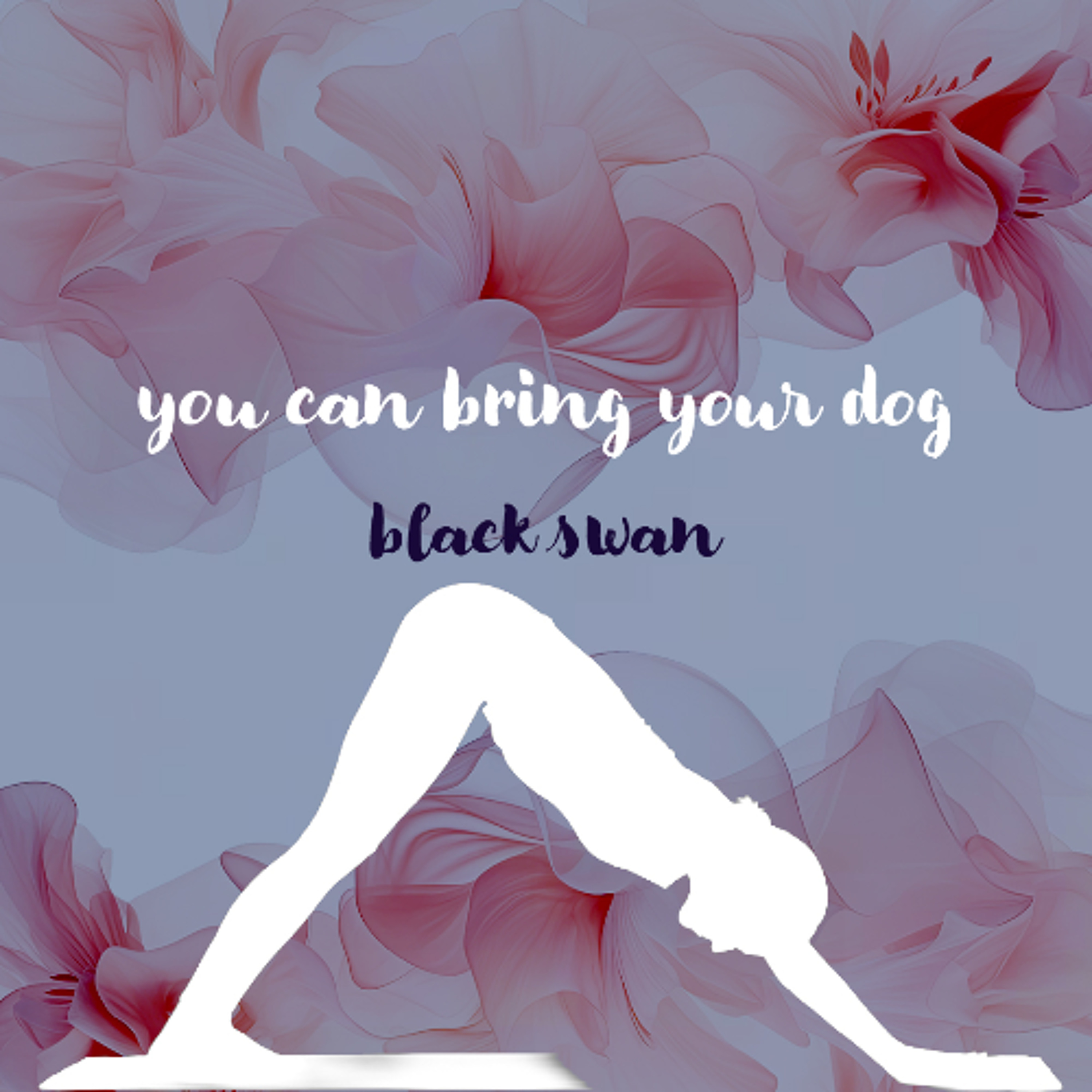 02142026 You Can Bring Your Dog and Black Swan episode artwork