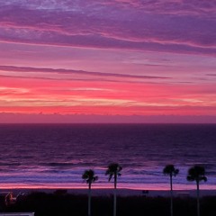 Persist (collab Adiel Cruz)