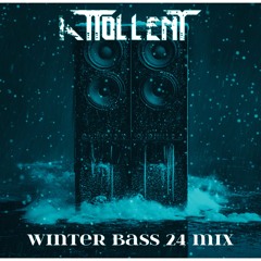 Winter Bass 24 Mix