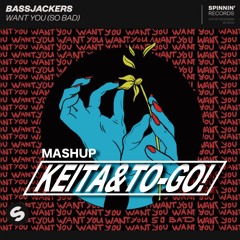 Bassjackers - Want You (So Bad) x Butter (KEITA & TO-GO! Mashup) [Preview]