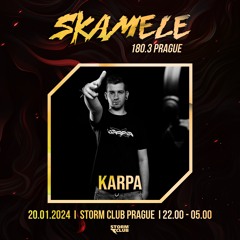 Skamele 180.3 Road to Prague Powermix - 100 % Karpa