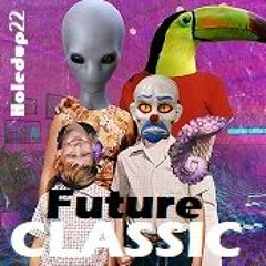 FUTURE CLASSIC 28