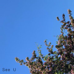 See U (Sped Up)