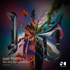 We Are Disconnected