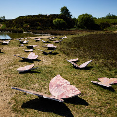 99 Butterflies by Meherunnisa Asad with Studio Lél - Audio Description