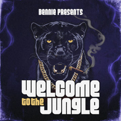 Welcome To The Jungle (Continuous DJ Mix)