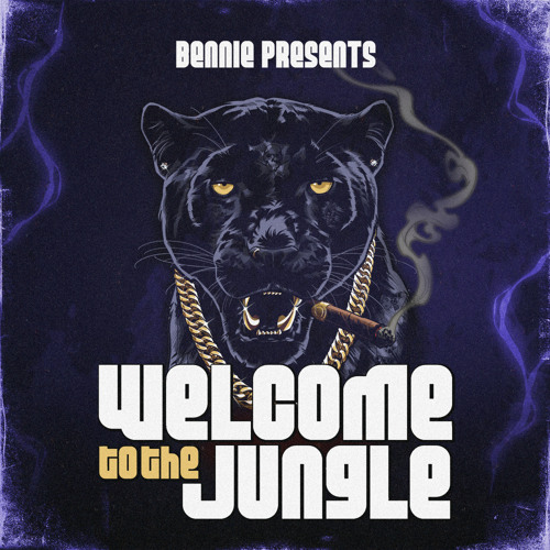 Welcome To The Jungle (Continuous DJ Mix)