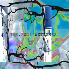 7.3.2025(WSTDSMRS)