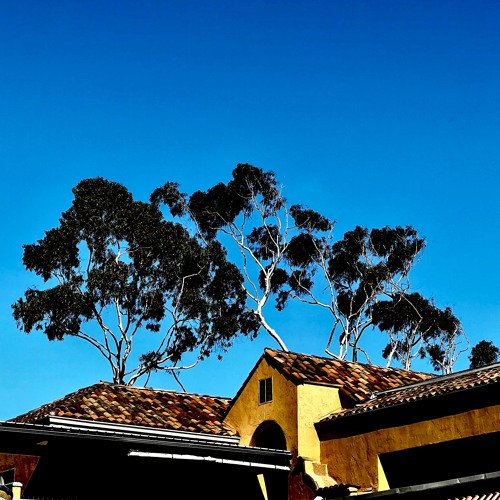 Stream The Best Day Ever Remix by Eddie Tepper Listen online for free