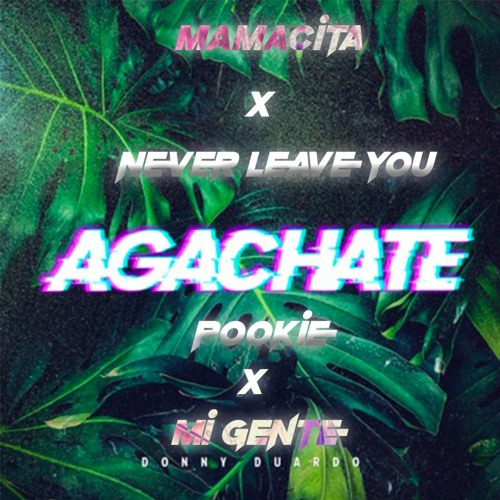 Donny Duardo - Agachate x Mamacita x Never leave you x Pookie x Mi Gente (FREE DOWNLOAD)