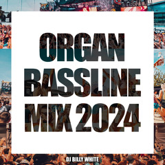 ORGAN BASSLINE SUMMER MIX 2024