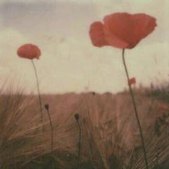 karma police - radiohead (sped up)