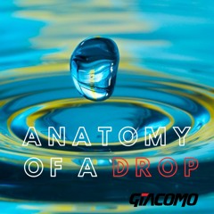 Anatomy of a Drop