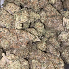 Lamiral x 2V - Petou