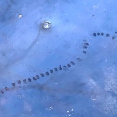 Blues Found In Space