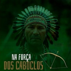 Cobra Coral de Branco, Preto e Vermelho · Família Medicina