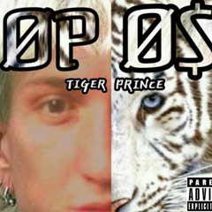 Tiger Prince