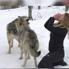 2 wolf 1 girl viral - 2 wolf 1 girl viral full video
