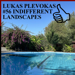 LUKAS PLEVOKAS #56 INDIFFERENT LANDSCAPES