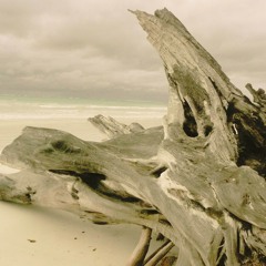 What Matters (Part 1 & 2)