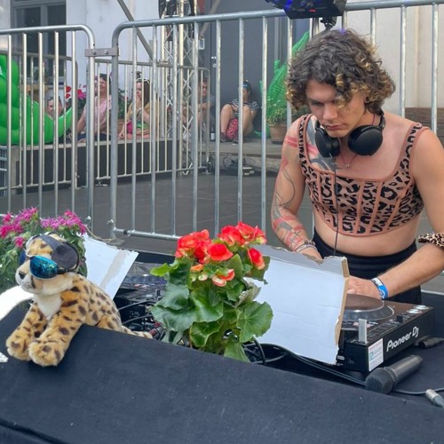 Dayrave Picknick w/ Playcrew - Live Recording