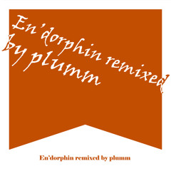 En’dorphin (plumm remix)