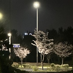하루