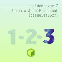 braided over 3 ft Insomnia & halF unusuaL (disquiet0527)