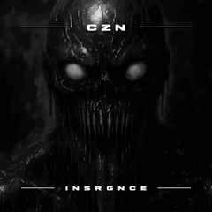 INSRGNCE | CZN