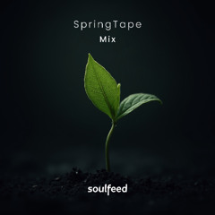 Soulfeed - SpringTape Mix