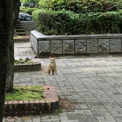 특별히 알려줌