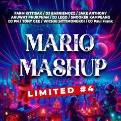 MARIO MASHUP - Limited 4