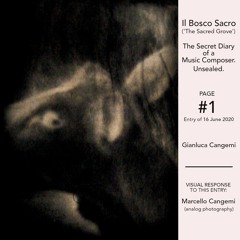 The Secret Diary of a Music Composer - #1 - Entry of 16 June 2020