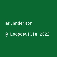 mr.anderson @ Loopdeville Campout 2022