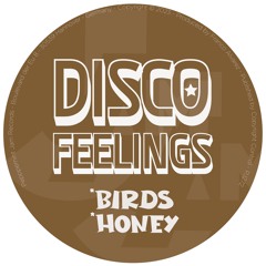 Disco Feelings - Birds (96Kbps)