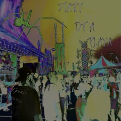 Diary Of A Playa