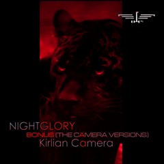 Nightglory (Camera Version)