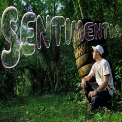 Sentimentia_Vinyl Mix_05/13/2024