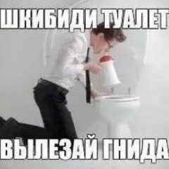 Шкибиди Толчки 2