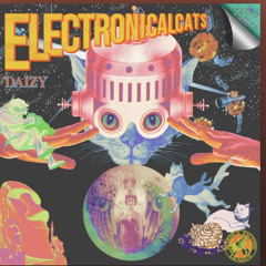 Daizy - Kill you x Electronical cats(B_mo mashup)