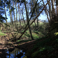 The Clappy Bridge / The Lads' Wherry