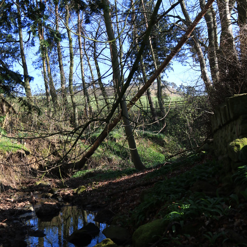 The Clappy Bridge / The Lads' Wherry
