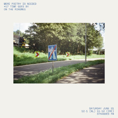 #17 More Poetry Is Needed: Time Goes By On The Ringweg