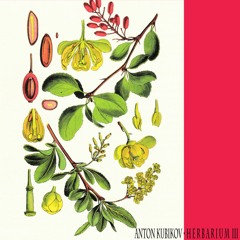 Anton Kubikov • Herbarium III (Preview)