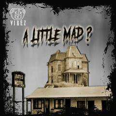 Vibez-A Little Mad